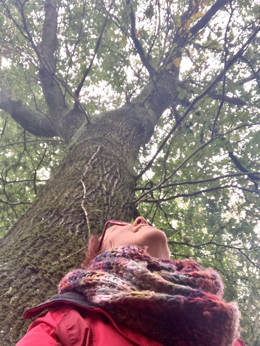 Mieke kijkt met haar ogen dicht omhoog langs een hoge boom
