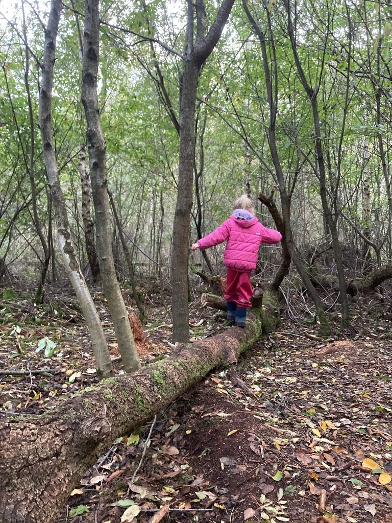Een kind in een roze jas balanceert over een omgevallen boomstam in het bos