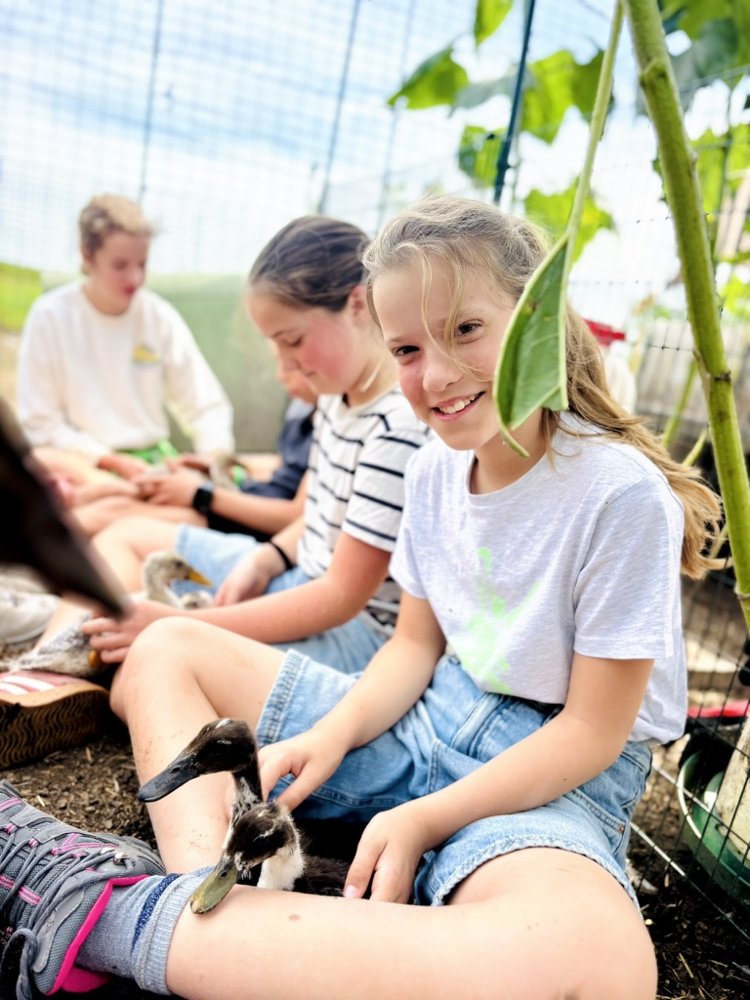 Kinderen zitten in het gras met eendjes op hun schoot