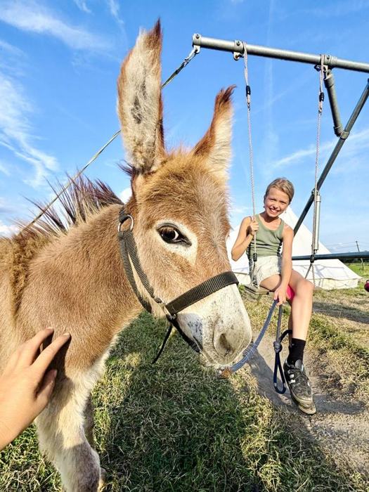 Een ezel en een meisje op de schommel op de boerderij